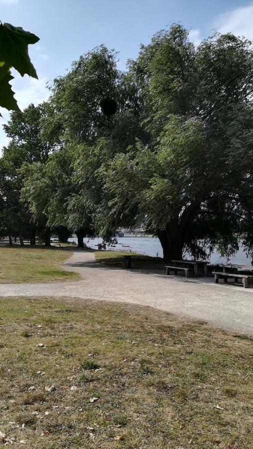 Appartement Spacieux Vue Sur Loire Proche Du Centre 布鲁瓦 外观 照片