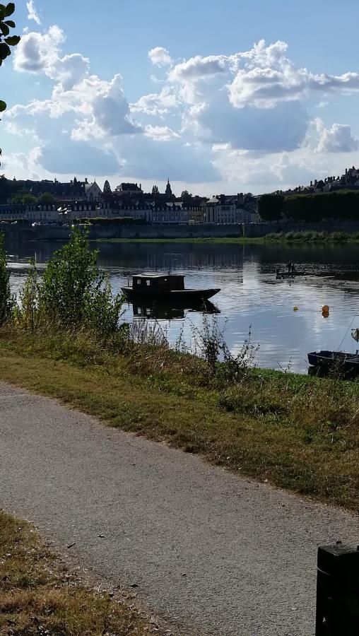 Appartement Spacieux Vue Sur Loire Proche Du Centre 布鲁瓦 外观 照片
