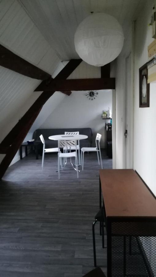 Appartement Spacieux Vue Sur Loire Proche Du Centre 布鲁瓦 外观 照片