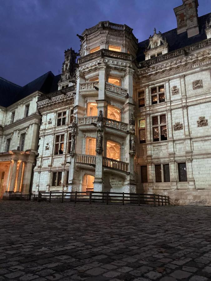 Appartement Spacieux Vue Sur Loire Proche Du Centre 布鲁瓦 外观 照片