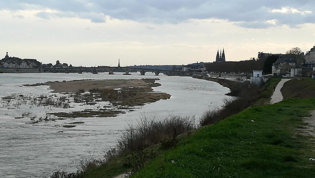 Appartement Spacieux Vue Sur Loire Proche Du Centre 布鲁瓦 外观 照片